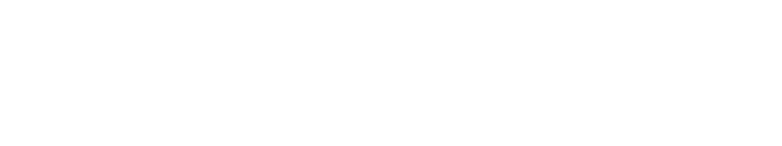NUBELIA AGENCY